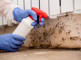 Best Residential Mold Inspection & Testing in USA